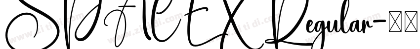 SPACEX Regular字体转换